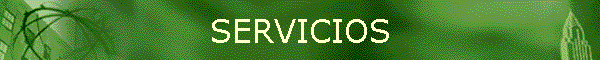 SERVICIOS