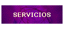 SERVICIOS